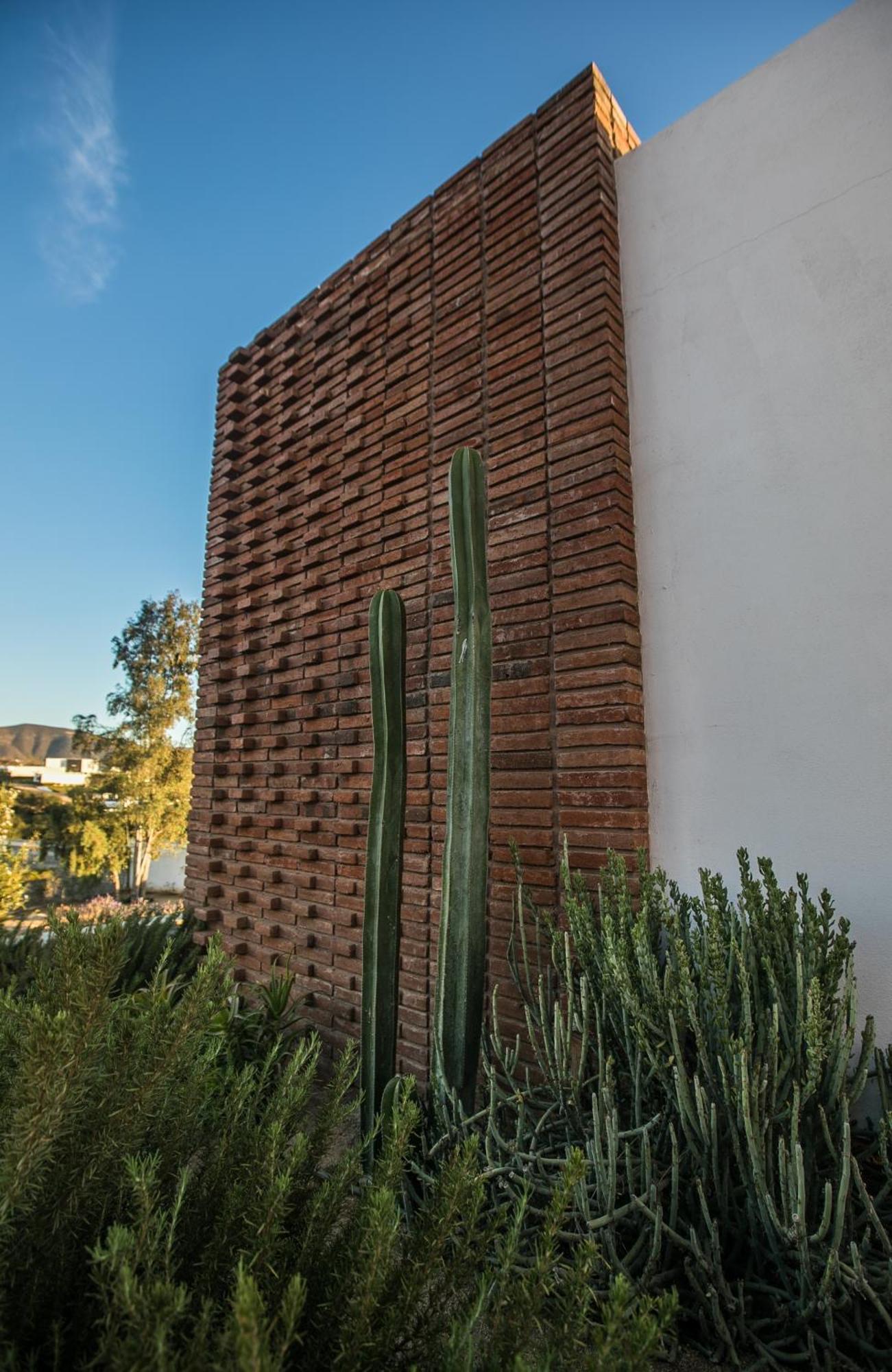 Hotel Otero Valle De Guadalupe Buitenkant foto